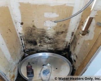 More mold. oh no!